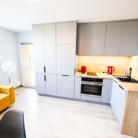 Apartament Piano Centrum Racibórz エクステリア 写真