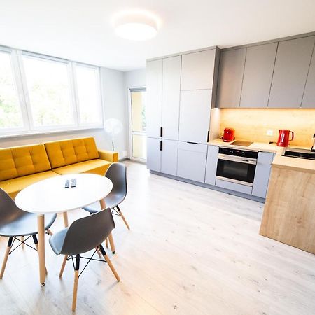 Apartament Piano Centrum Racibórz エクステリア 写真