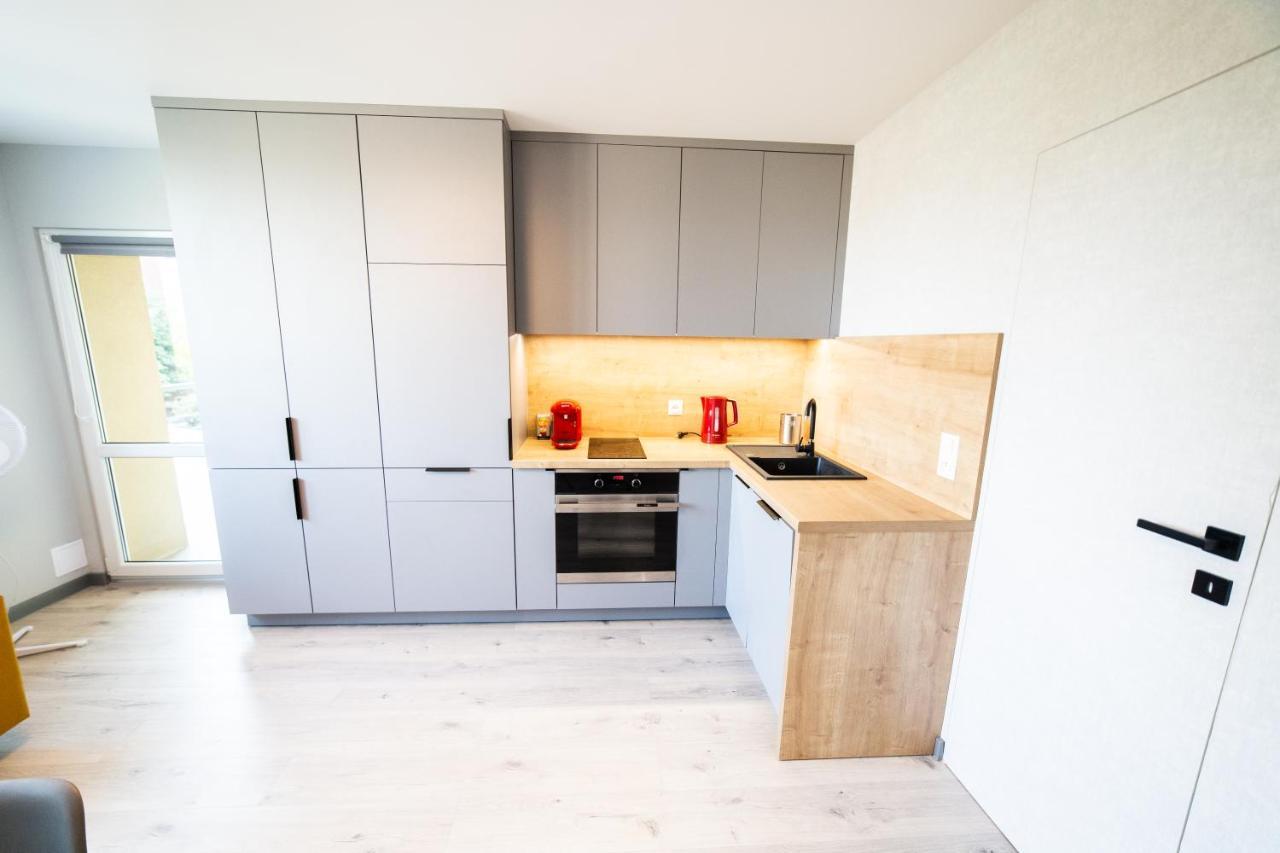 Apartament Piano Centrum Racibórz エクステリア 写真